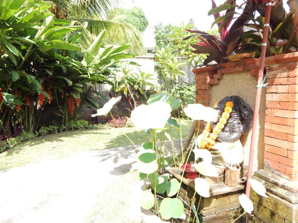 Yuda Menjangan * Banyuwedang